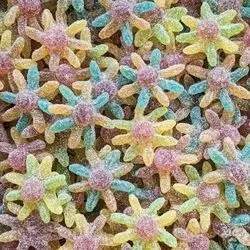 Octopus acidulés 100g